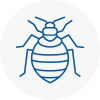 Bed Bug Extermination In Orpington