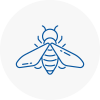 Bee Nest Removal Orpington