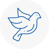 Bird Prevention Orpington