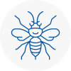 Orpington Hornet Nest Removals