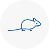 Mice Exterminators In Orpington