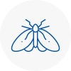 Moth Control Specialists In Orpington