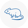 Rat Control Orpington