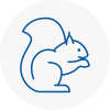 Orpington Rodent Removals