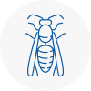 Orpington Wasp Nest Removal